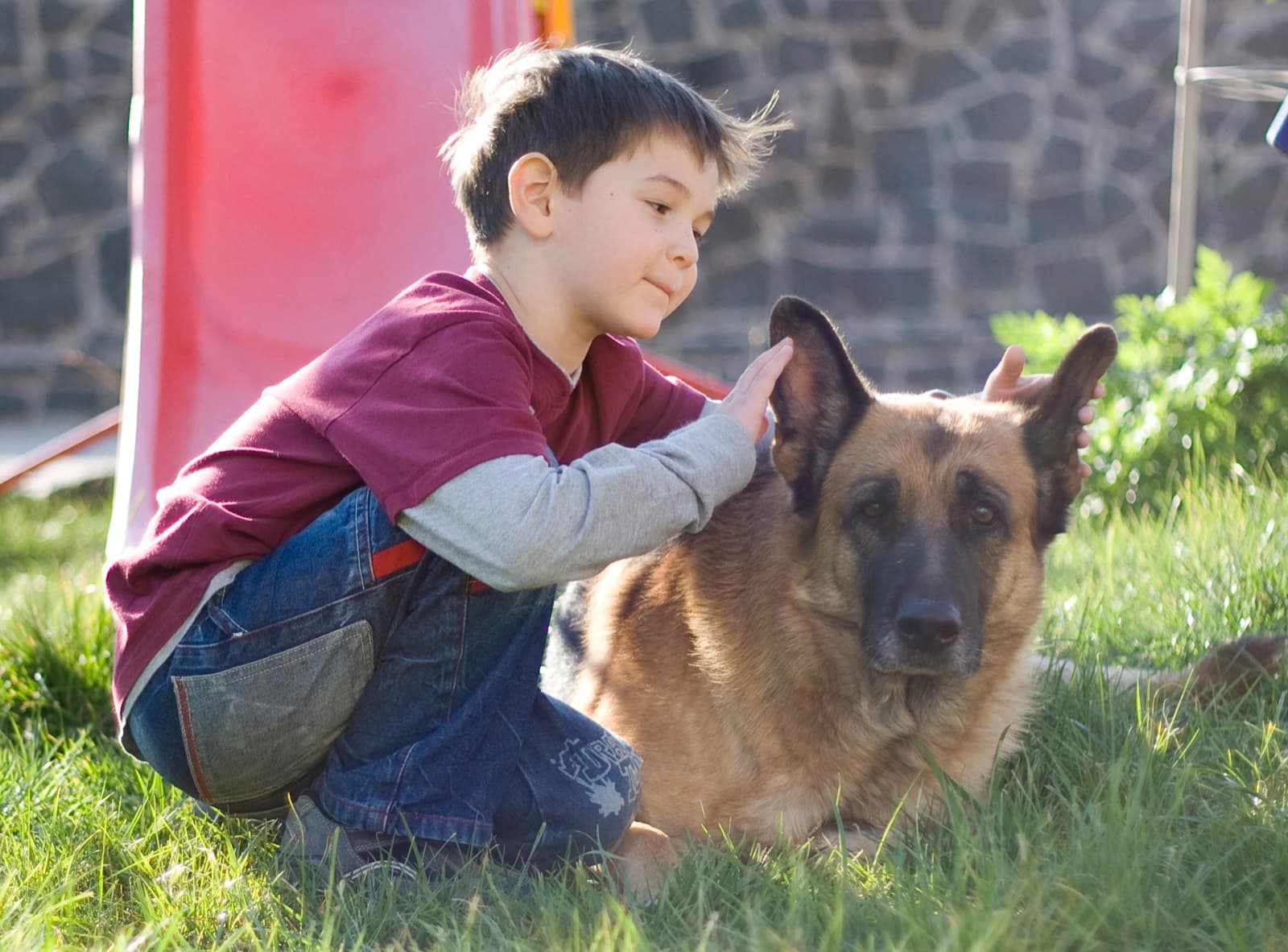 A child with a german shepherd lying on the grass