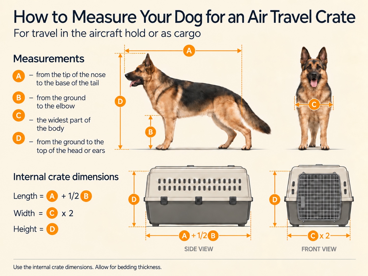 How to measure your dog for an air travel crate: A — nose to base of tail, B — ground to elbow, C — widest part of the body, D — ground to the top of the head or ears